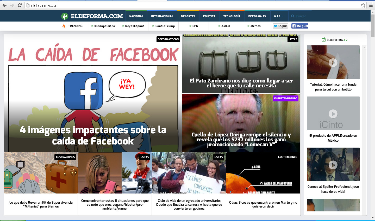 pato zambrano heroe cinto hebilla